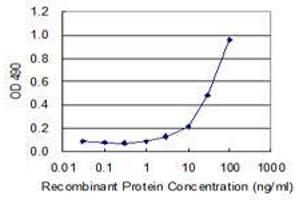 Sandwich ELISA detection sensitivity ranging from 3 ng/mL to 100 ng/mL. (COASY (人) Matched Antibody Pair)