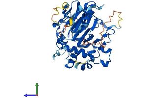 Protein Structure (PS) image for AlkB, Alkylation Repair Homolog 1 (ALKBH1) (AA 1-389) protein (His tag) (ABIN7552018)