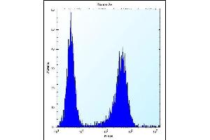 LYPL1 Antibody (Center) (ABIN657876 and ABIN2846832) flow cytometric analysis of Neuro-2a cells (right histogram) compared to a negative control cell (left histogram). (LYPL1 抗体  (AA 88-117))