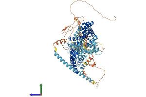Protein Structure (PS) image for RAS Guanyl Releasing Protein 1 (Calcium and DAG-Regulated) (RASGRP1) (AA 1-797) protein (His tag) (ABIN7554039)
