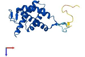 AlphaFold protein structure predicition of Human Recombinant TMEM229B Protein, UniprotID Q8NBD8