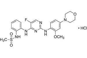 CZC 54252 Hydrochloride