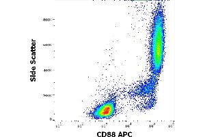 Flow cytometry surface staining pattern of human peripheral whole blood stained using anti-human CD88 (S5/1) APC antibody (10 μL reagent / 100 μL of peripheral whole blood). (C5AR1 抗体  (AA 15-27) (APC))