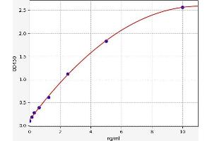 Typical standard curve (Cofilin ELISA 试剂盒)
