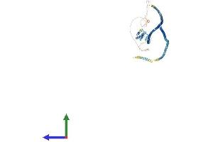 Protein Structure (PS) image for Coiled-Coil Domain Containing 46 (CCDC46) (AA 1-954) protein (His tag) (ABIN7557489)