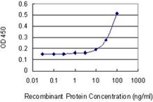 Detection limit for recombinant GST tagged ARPC2 is 3 ng/ml as a capture antibody. (ARPC2 抗体  (AA 1-300))