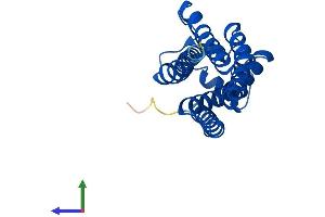 AlphaFold protein structure predicition of Human Recombinant EBPL Protein, UniprotID Q9BY08 (EBPL Protein (AA 1-206) (His tag))