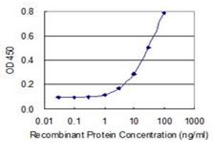 Detection limit for recombinant GST tagged IER2 is 1 ng/ml as a capture antibody. (IER2 抗体  (AA 1-223))