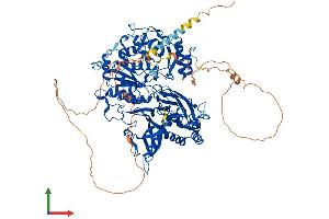 AlphaFold protein structure predicition of Human Recombinant XYLT1 Protein, UniprotID Q86Y38