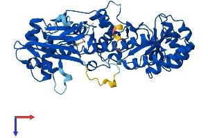 NAMPT Protein (AA 1-491) (His tag)