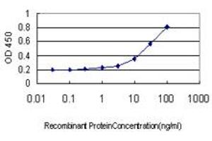 Detection limit for recombinant GST tagged RPL36A is approximately 1ng/ml as a capture antibody. (RPL36A 抗体  (AA 7-106))