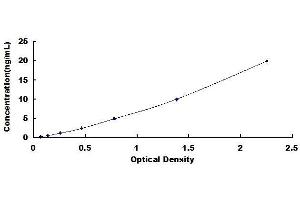 Typical standard curve (SUOX ELISA 试剂盒)