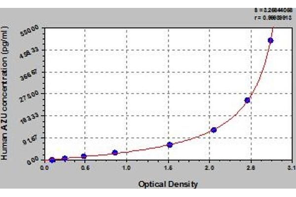 Azurocidin ELISA 试剂盒