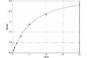 Molybdenum Cofactor Sulfurase (MOCOS) ELISA Kit