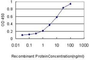 Detection limit for recombinant GST tagged CAMKK2 is approximately 1ng/ml as a capture antibody. (CAMKK2 抗体  (AA 1-130))