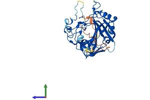 Protein Structure (PS) image for Carbonic Anhydrase X (CA10) (AA 1-328) protein (His tag) (ABIN7556575)