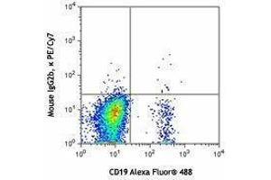 Flow Cytometry (FACS) image for anti-Chemokine (C-C Motif) Receptor 6 (CCR6) antibody (PE-Cy7) (ABIN2659154) (CCR6 抗体  (PE-Cy7))