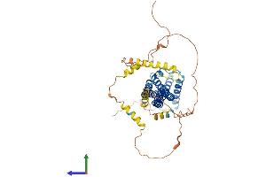 Protein Structure (PS) image for Islet Cell Autoantigen 1, 69kDa (ICA1) (AA 1-483) protein (His tag) (ABIN7548469)