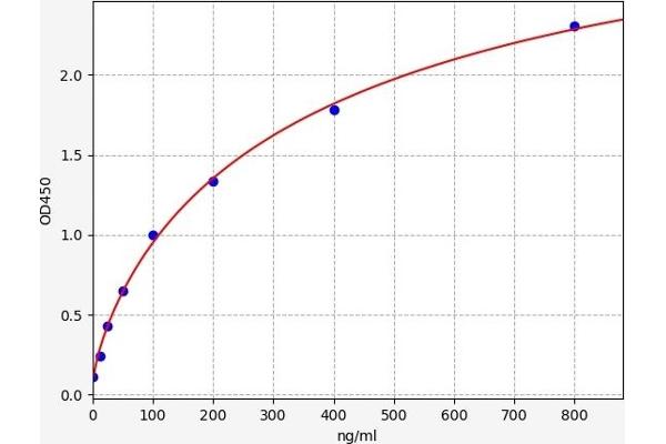 Dopamine Receptor d1 ELISA 试剂盒