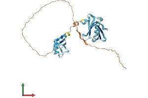 AlphaFold protein structure predicition of Human Recombinant UBFD1 Protein, UniprotID O14562