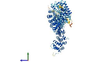 Protein Structure (PS) image for Unc-45 Homolog A (UNC45A) (AA 1-944) protein (His tag) (ABIN7555976)