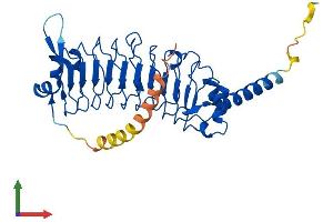 Protein Structure (PS) image for Leucine Rich Repeat Containing 23 (LRRC23) (AA 1-340) protein (His tag) (ABIN7562268)
