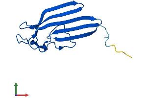 AlphaFold protein structure predicition of Mouse Recombinant Churc1 Protein, UniprotID Q6DG52