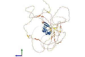 Protein Structure (PS) image for Ataxin 1-Like (ATXN1L) (AA 1-687) protein (His tag) (ABIN7562805)