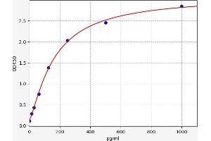 Typical standard curve (Calcium/calmodulin-Dependent Protein Kinase II (CAMK2) ELISA 试剂盒)