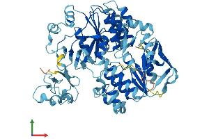 AlphaFold protein structure predicition of Mouse Recombinant Abce1 Protein, UniprotID P61222