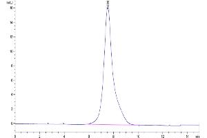 Size-exclusion chromatography-High Pressure Liquid Chromatography (SEC-HPLC) image for SARS-CoV-2 Spike S1 (B.1.640) protein (His tag) (ABIN7274872)