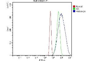 Flow Cytometry analysis of A431 cells using anti-PKA R2/PKR2/PRKAR2A antibody (ABIN7600543).