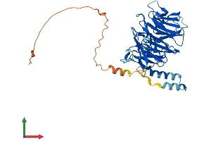AlphaFold protein structure predicition of Mouse Recombinant Ddb2 Protein, UniprotID Q99J79
