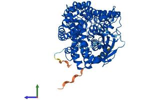 Protein Structure (PS) image for Thimet Oligopeptidase 1 (THOP1) (AA 1-687) protein (His tag) (ABIN7559103)