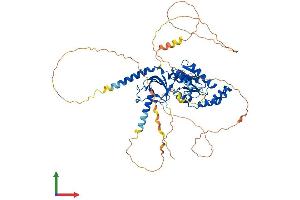 Protein Structure (PS) image for Calcium Channel, Voltage-Dependent, beta 1 Subunit (CACNB1) (AA 1-598) protein (His tag) (ABIN7552891)