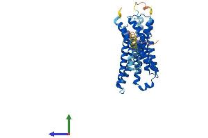 AlphaFold protein structure predicition of Human Recombinant FFAR2 Protein, UniprotID O15552 (FFAR2 Protein (AA 1-330) (His tag))
