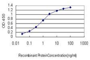 Detection limit for recombinant GST tagged MCPH1 is approximately 0. (MCPH1 抗体  (AA 399-487))