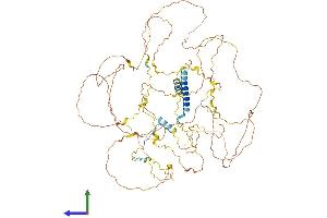 AlphaFold protein structure predicition of Mouse Recombinant Gtse1 Protein, UniprotID Q8R080