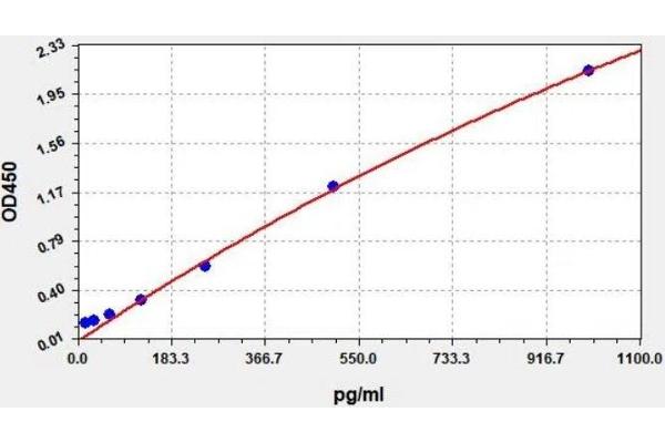 Chemokine (C-X-C Motif) Ligand 15 (CXCL15) ELISA 试剂盒