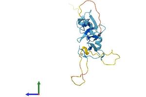 Protein Structure (PS) image for Cysteine and Glycine-Rich Protein 3 (CSRP3) (AA 1-194) protein (His tag) (ABIN7546809)