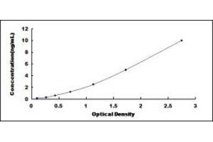 Typical standard curve (Ephrin A3 ELISA 试剂盒)