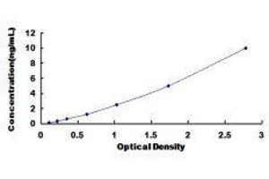 Chemokine (C-X-C Motif) Receptor 5 (CXCR5) ELISA Kit