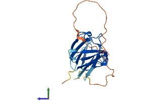 Protein Structure (PS) image for Crystallin, gamma N (CRYGN) (AA 1-182) protein (His tag) (ABIN7546767)