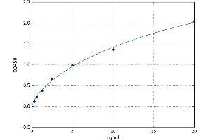 A typical standard curve (Complement C3b ELISA 试剂盒)