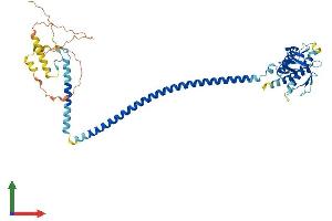 Protein Structure (PS) image for Beclin 1, Autophagy Related (BECN1) (AA 1-448) protein (His tag) (ABIN7562637)