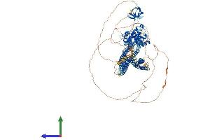 Protein Structure (PS) image for SLIT-ROBO rho GTPase Activating Protein 2 (SRGAP2) (AA 1-1071) protein (His tag) (ABIN7555566)