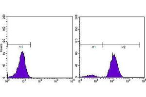 Flow Cytometry (FACS) image for anti-Prostate Specific Antigen (PSA) (AA 26-251) antibody (ABIN2983296) (Prostate Specific Antigen 抗体  (AA 26-251))