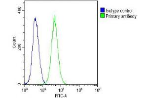 Overlay histogram showing NIH/3T3 cells stained with Antibody (green line). (PFN1 抗体  (AA 108-140))
