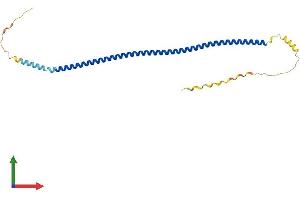 Protein Structure (PS) image for Synaptonemal Complex Central Element Protein 1-Like (SYCE1L) (AA 1-242) protein (His tag) (ABIN7544029)