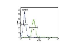 Flow Cytometry (FACS) image for anti-Solute Carrier Family 6 (Neurotransmitter Transporter, Betaine/GABA), Member 12 (SLC6A12) (AA 9-38), (N-Term) antibody (ABIN654460)